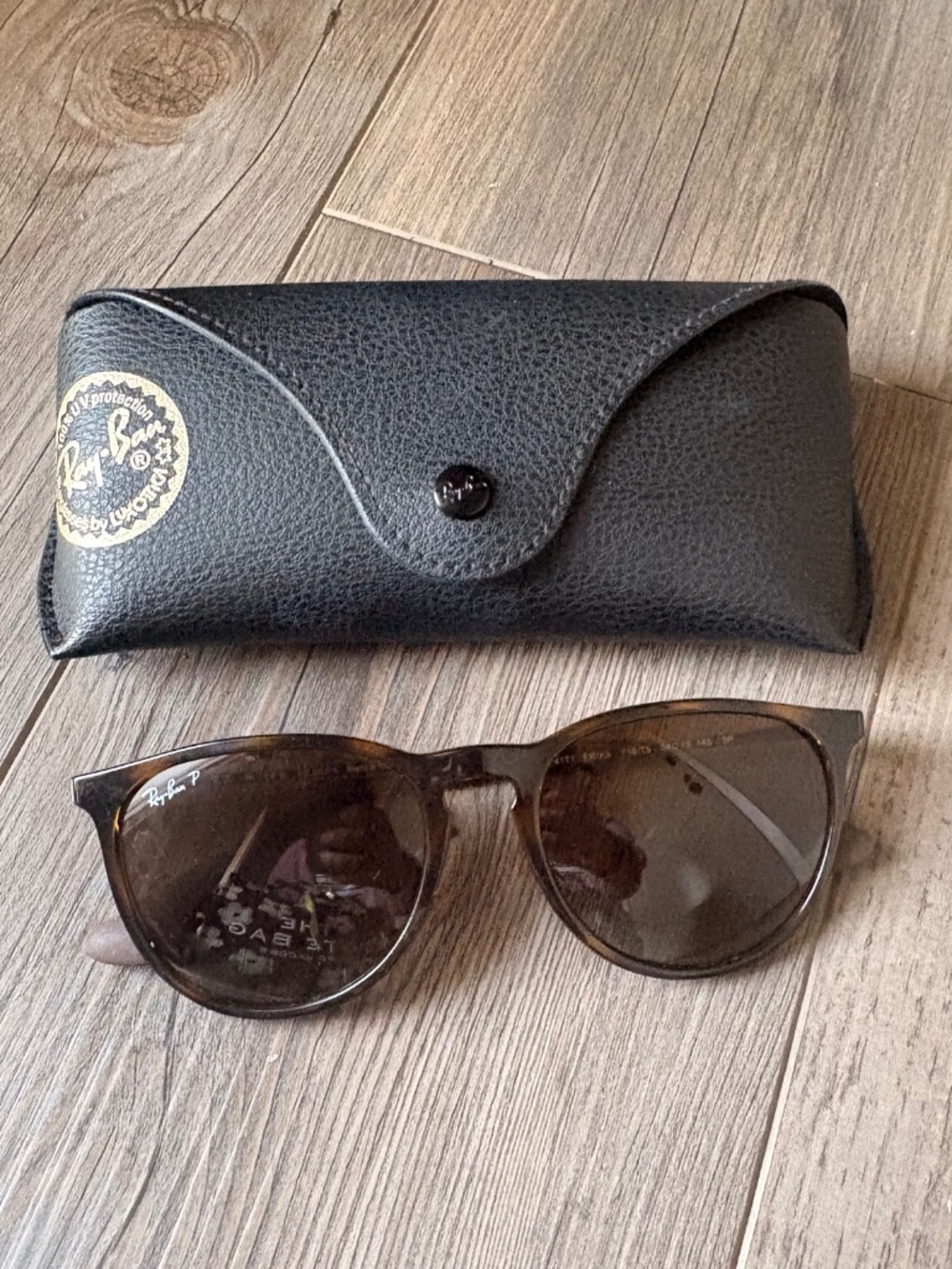 RayBan Erika Classic Polarized Sunglasses